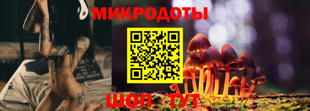 Губкин  Псилоцибиновые грибы Magic Shrooms  Вход с VPN 